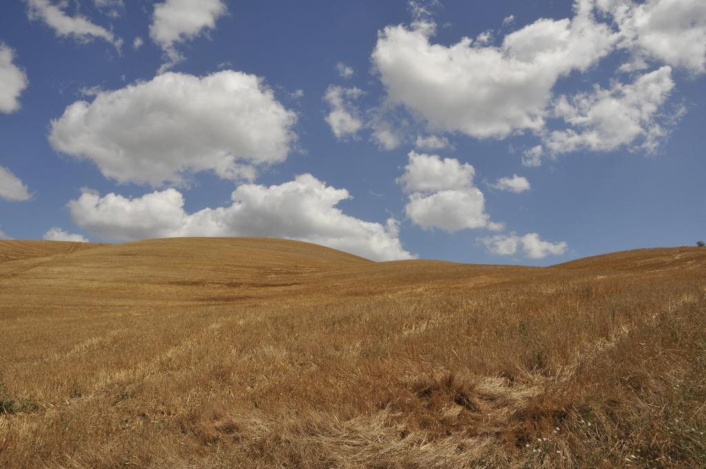 Agriturismo Podere Campaini Volterra Exteriér fotografie