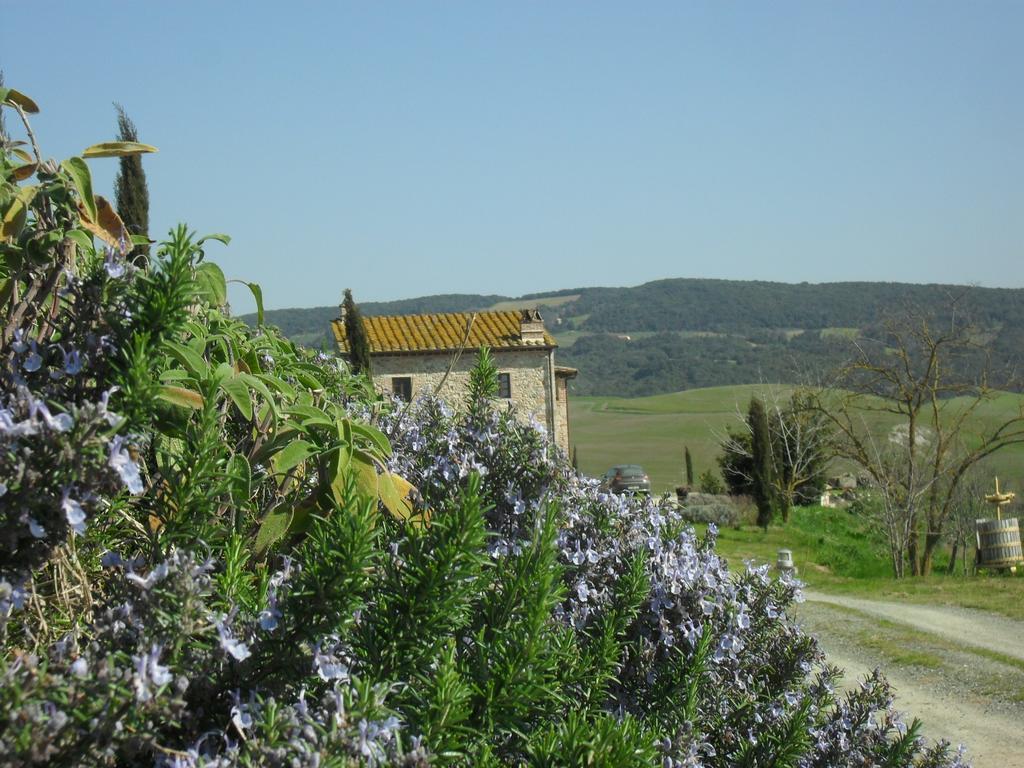 Agriturismo Podere Campaini Volterra Exteriér fotografie