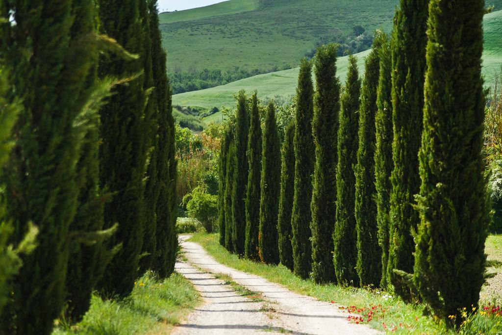 Agriturismo Podere Campaini Volterra Exteriér fotografie